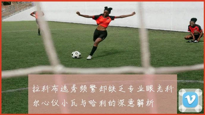 拉科布选秀频繁却缺乏专业眼光科尔心仪小瓦与哈利的深意解析